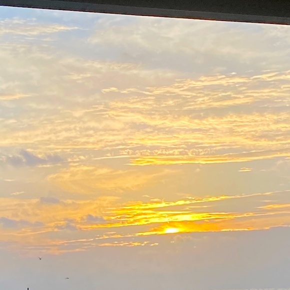 Meet your Posher, Michaelle - Picture 1 of 1